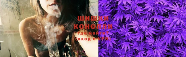 ПСИЛОЦИБИНОВЫЕ ГРИБЫ Белокуриха