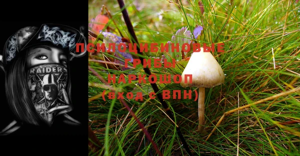 ПСИЛОЦИБИНОВЫЕ ГРИБЫ Белокуриха