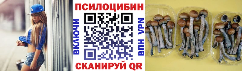 Галлюциногенные грибы GOLDEN TEACHER  Костомукша 