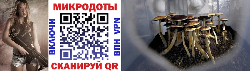 Галлюциногенные грибы ЛСД Костомукша